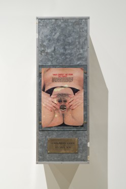 Orlan bruger sin egen krop som medie i en politisk og feministisk kamp</br>Thomas Bruun 1988. Consumers Guide to Safe Sex
<br /></br>Foto: ARoS