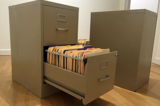 Kunstneren anno 2018 må være sit eget brand</br>Skulptur / objekt af Kelly Lloyd 
<br />Titel: File cabinet full of rorschach blots made with acrylic paint the color of my skin inside file folders</br>Foto: PR-foto