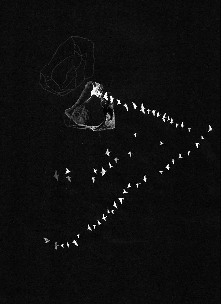 BILLEDSERIE: På besøg hos Flux Factory i ARoS Atelier</br>Fluxer illesha Khandelwal tegner skitser af de sten, som hun har samlet ude i det danske landskab. </br>Foto: illesha Khandelwal