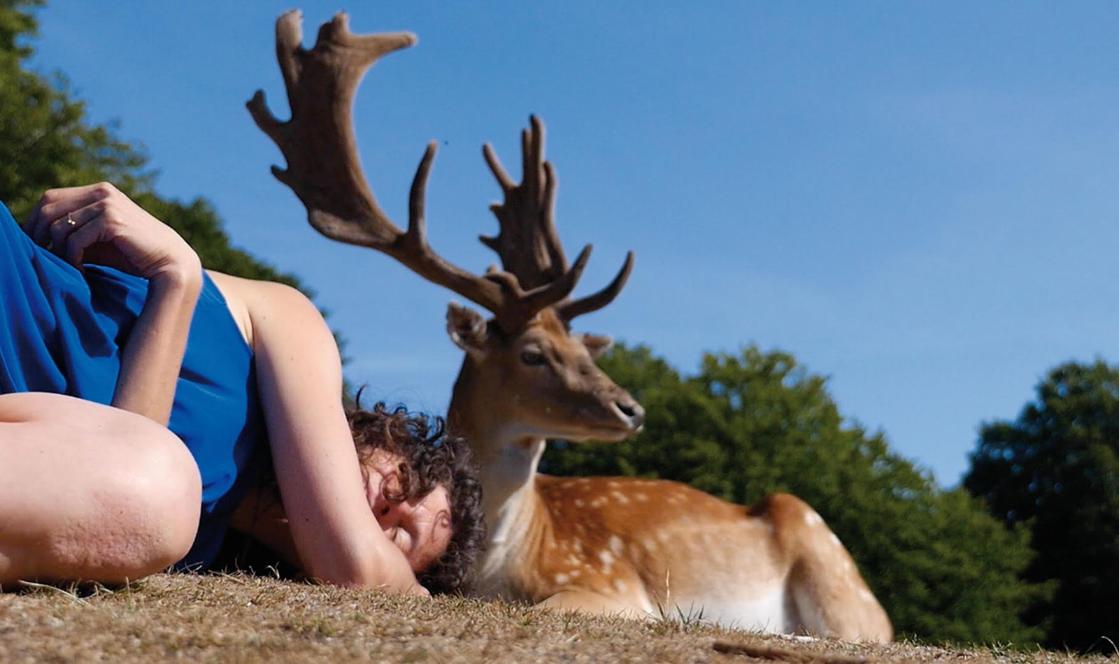 BILLEDSERIE: På besøg hos Flux Factory i ARoS Atelier</br>Fluxer Christine Laquet laver et af sine projekter i Dyrehaven, hvor hun blandt andet sover med dyrene. </br>Foto: Christine Laquet 