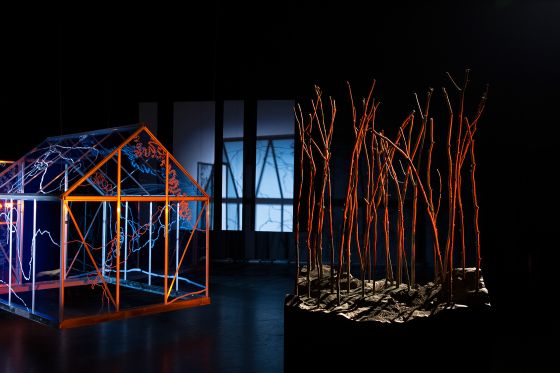 Line Tjørnhøj og Signe Klejs afsøger grænsen til det umenneskelige i værket enTmenschT</br>Installationen The Greenhouse af Signe Klejs fra 2017</br>Foto: PR-foto