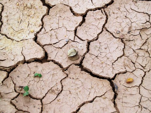 Livet er som blot et glimt i den store historie</br>Yourcenar var meget optaget af klimaproblematikker og er stærkt kritisk over for menneskets behandling af Jorden</br>Foto: 