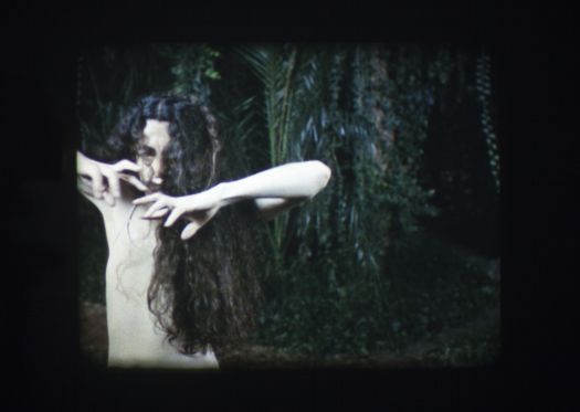 Joachim Koesters nye udstilling på SMK går på opdagelse i historien og sindets udkant</br>Joachim Koester, Reptile brain or reptile body, it's your animal. 2012.</br>Foto: 