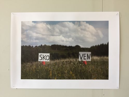 Kh7 artspace hylder naturen i ny udstilling</br>Et af claus ejner og Morten Jacobsens billeder</br>Foto: PR-foto
