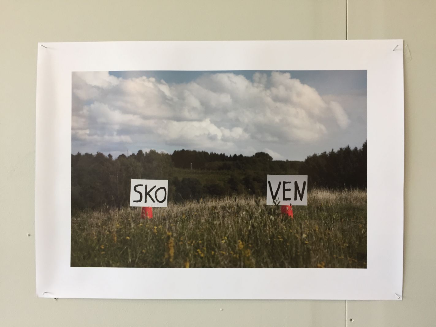 Kh7 artspace hylder naturen i ny udstilling</br>Et af claus ejner og Morten Jacobsens billeder</br>Foto: PR-foto