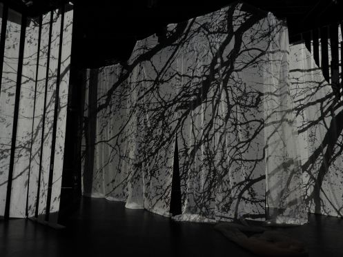 Poetisk japansk dans på Åbne Scene</br>Shinpai Shinaide er en poetisk, visuel og sensitiv forestilling</br>Foto: PR-foto Blue Cliff