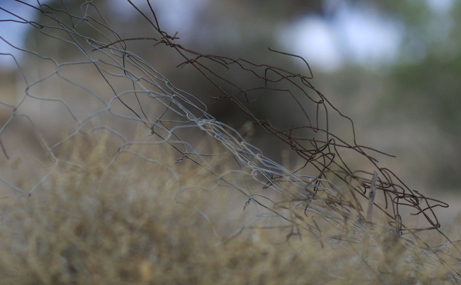 Angela Melitopoulos videoværk Crossings for første gang i Skandinavien på Charlottenborg</br>Angela Melitopoulos går oftere ind på tungere teoretiske områder med sin kunst og krydser videokunst og filosofi.</br>Foto: PR-foto / Kunsthal Charlottenborg