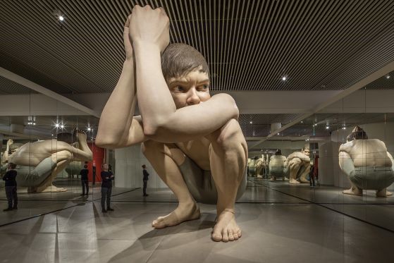 På Aros er hjem langt mere end det sted vi bor</br>Boy gengivet i en uendelighed.
<br />
<br />Ron Mueck - Boy, 1999</br>Foto: PR-Foto / Anders Sune Berg