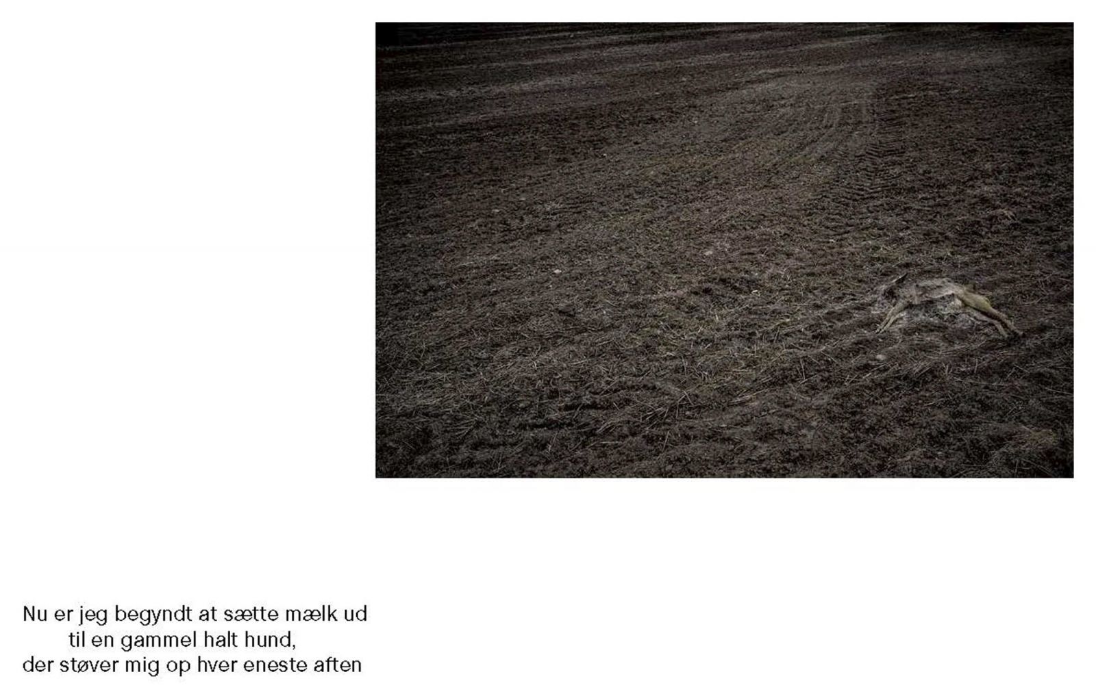 Ny bog: Korrespondance mellem fotograf og forfatter får os selv til at se de mørke sider af hverdagen</br>Bogen handler om, at turde se hverdagsangsten og livets skrøbelighed i øjnene.</br>Foto: PR-foto  