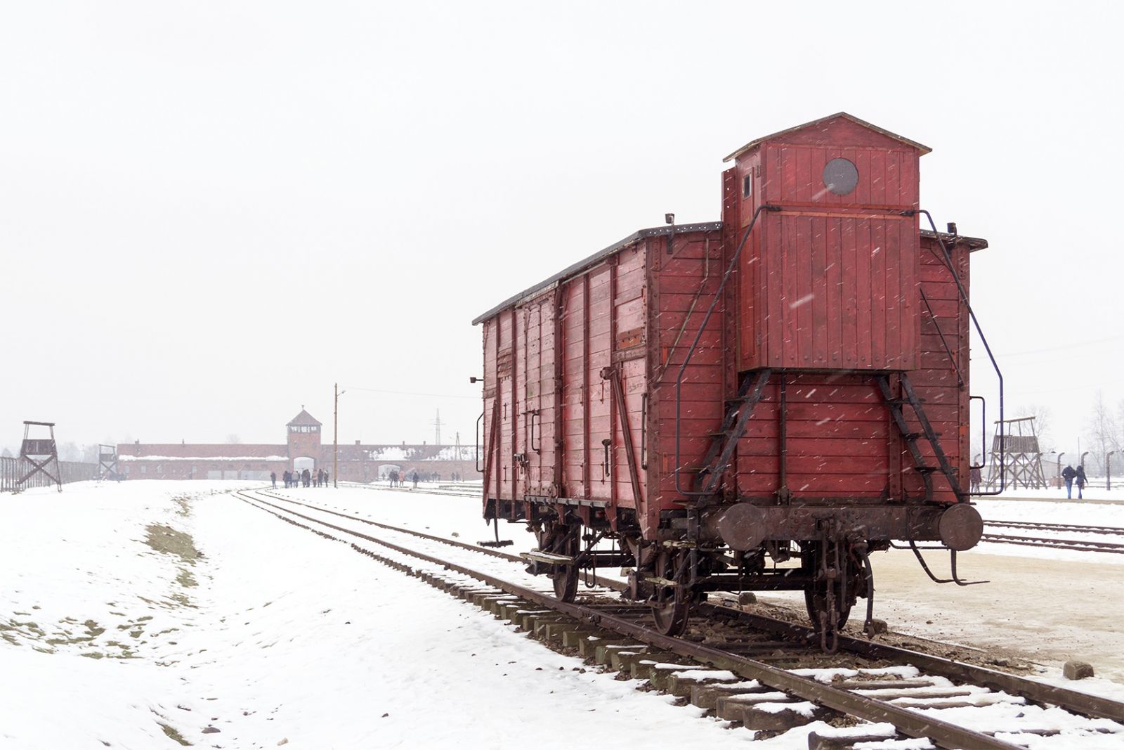 Auschwitz’ uforståelighed er som en mur</br>Jens Albinus havde tænkt, at han ikke ville røre Holocaust med en ildtang.</br>Foto: -