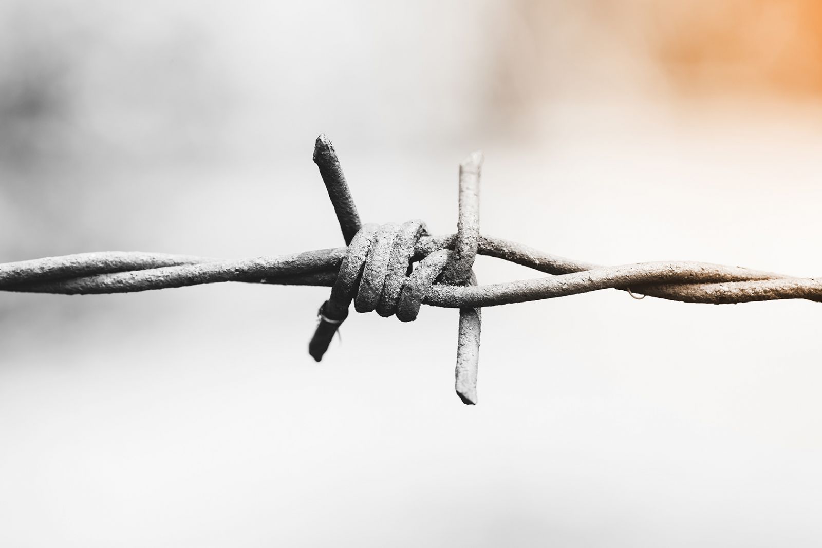 Auschwitz’ uforståelighed er som en mur</br>Hvis dette er et mennesker kan opleves i både april og maj på Husets Teater.</br>Foto: -