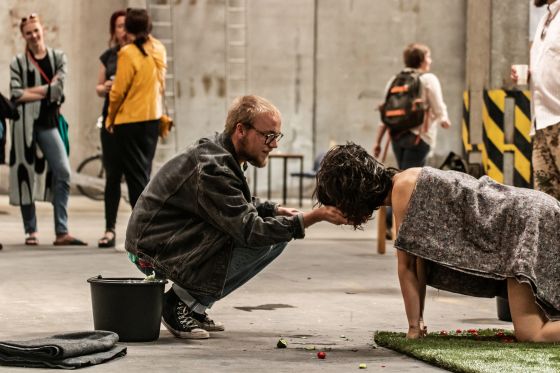 Nøgne hunner græsser mens de passes af hyrdehunden</br>Man kan opleve ko-menneskene i levende live på Godsbanen til åbningen af Singing our Place festival</br>Foto: Christoffer Brekne