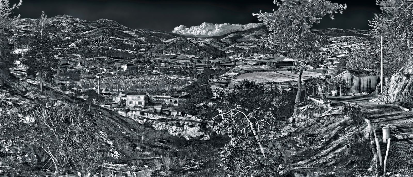 Militærteknologi brugt til  kunstfoto</br></br>Foto: Richard Mosse. Courtesy of the artist and Jack Shainman Gallery, New York.
