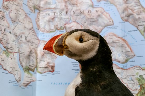 Når du har læst bogen, skal du give den videre - den skal være en fri fugl</br></br>Foto: Foto: Bodil Sohn 