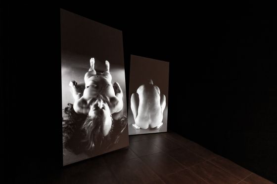 8 kunstnere udfordrer det klassiske skulpturbegreb i Viborg Kunsthal</br>Værk af Katja Bjørn på udstillingen The Process of Becoming.</br>Foto: PR-foto