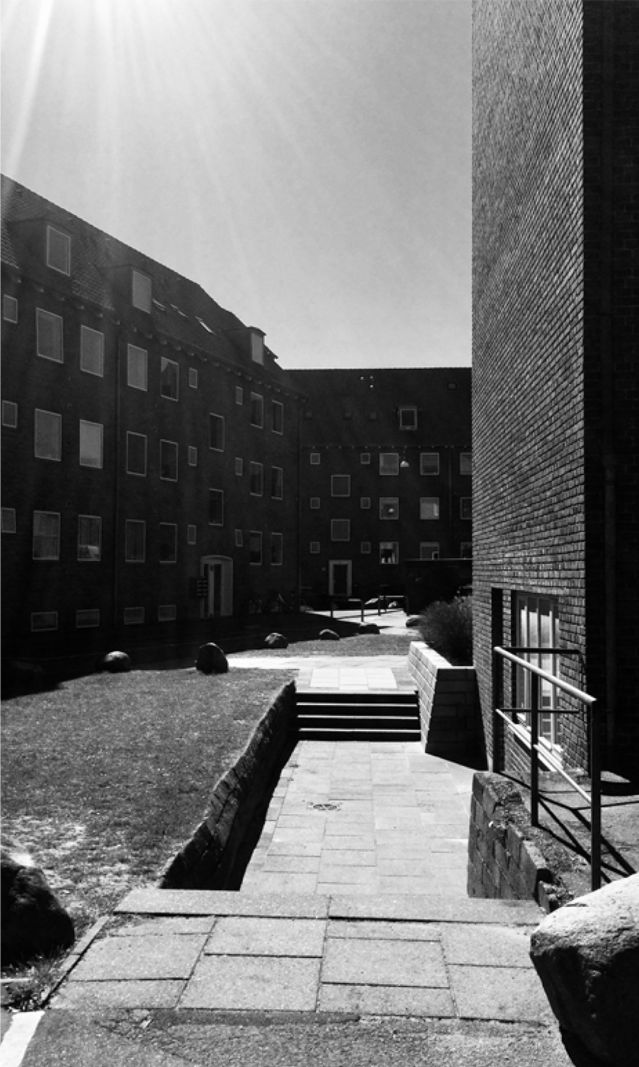 Ny bog om livet som dovenkrop i en voksenverden</br></br>Foto: Andreas Hansn