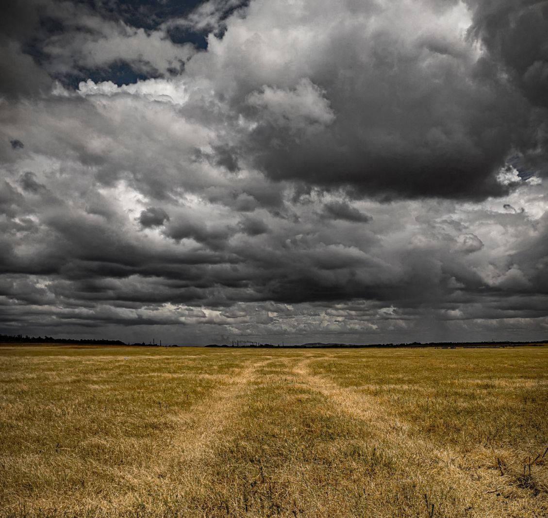 Med litteraturen kan vi være fælles om sorgen</br></br>Foto: Hala Al Asadi