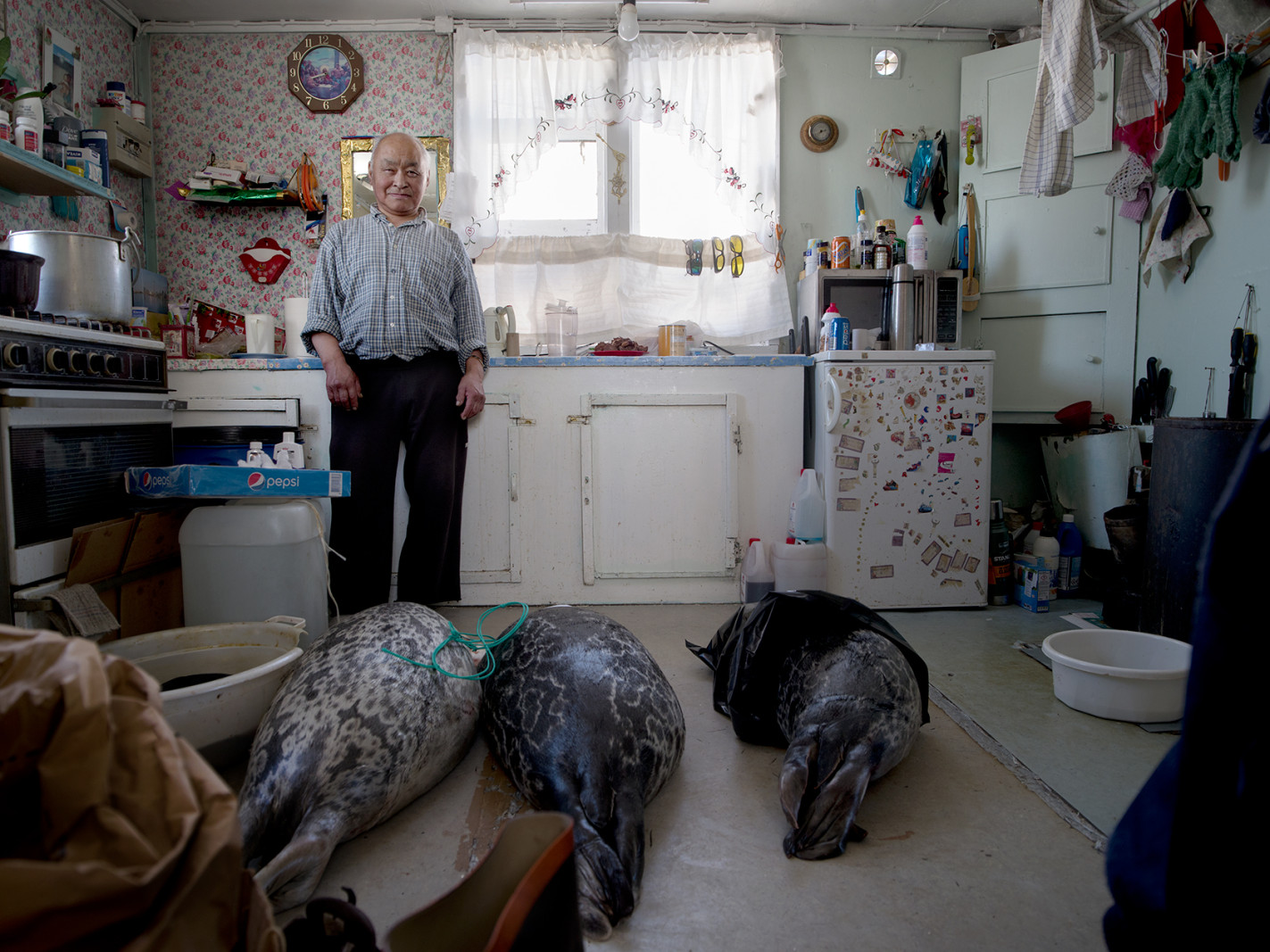 Fotograf Henrik Saxgren fandt ro i den vilde natur</br>Qaerngaaq i køkkenet, Grønland, 2016.</br>Foto: Henrik Saxgren