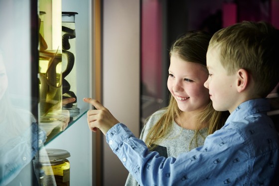 Når vi åbner op for løven og pingvinen</br>Giv dine børn en oplevelse, der både er sjov og gør dem klogere.</br>Foto: PR-foto: Naturhistorisk Museum Aarhus