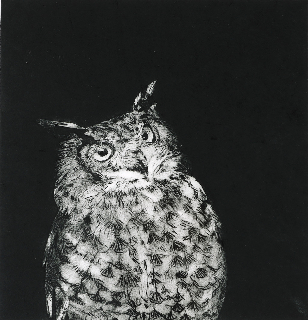 Fuglene er i fokus ved efterårets særudstilling på Johannes Larsen Museet</br>Marianne Lindberg Jepsen - Uglen</br>Foto: Ole Friis