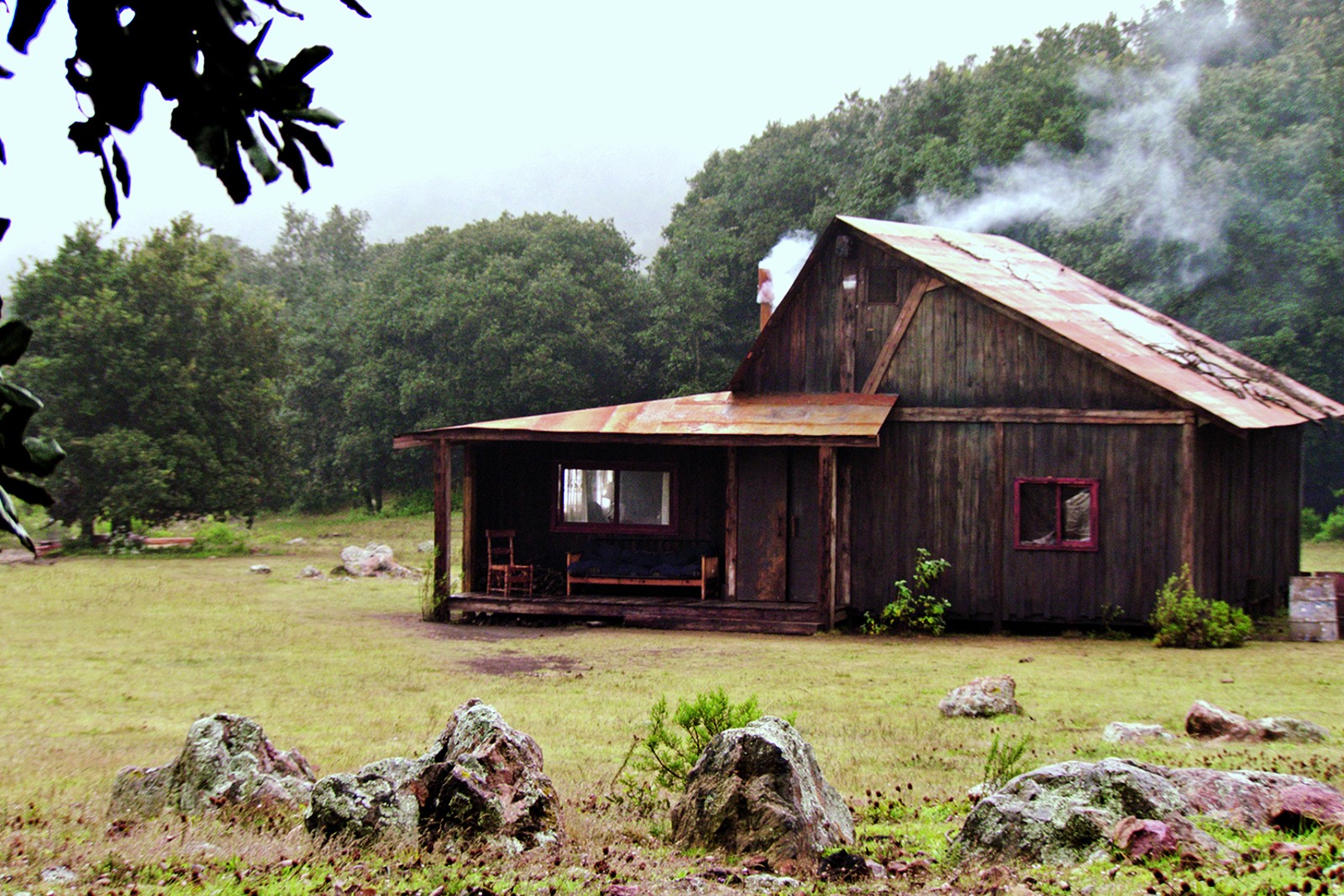 Socialrealisme med sexgalt rumvæsen</br>I Grimms eventyr er alt det utæmmede i skoven, sådan er det også i The Untamed.</br>Foto: PR-foto / Øst for Paradis filmdistribution