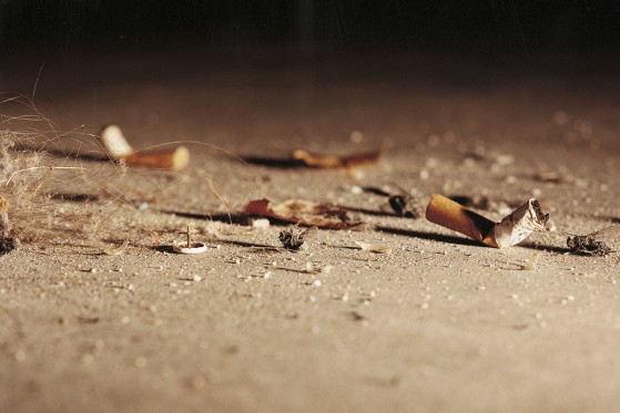 Børnevenlig kunst</br>Annika von Hausswolff
<br />Stilleben med døde fluer. </br>Foto: PR-foto / Statens Museum for Kunst 