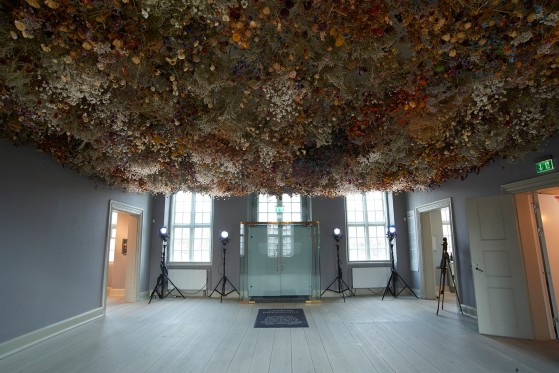Antikke dødssynder på moderne kunstmuseer</br>Fra udstillingen Hovmod af Rebecca Louise Law. De blomster, der visner og falder fra loftet på Skovgaard Museet, samles indgår til efteråret i et nyt værk.</br>Foto: PR-foto Skovgaard Museet