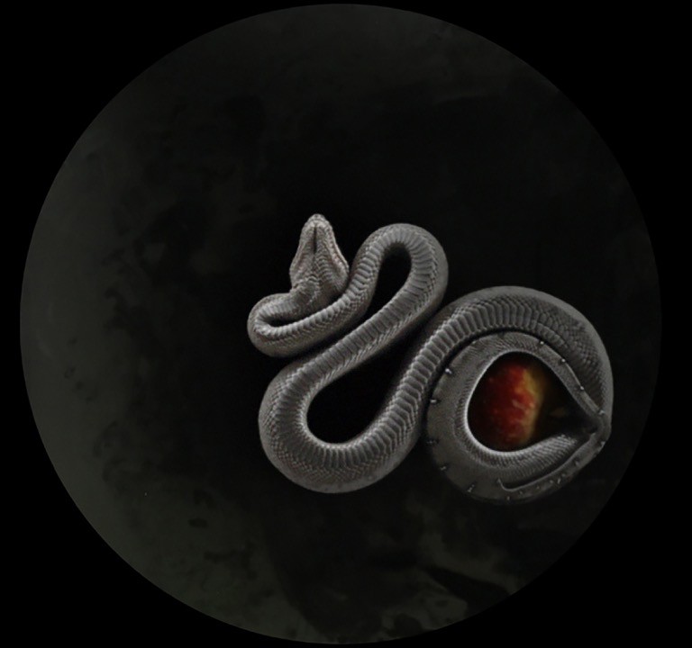 Misundelse indtager Skives gader</br>Adam og Eva fik to sønner, Kain og Abel. Abel ofrede sit førstefødte lam og Gud blev glad. Kain ofrede afgrøder fra sin jord, men Gud tog ikke imod dem. Kain slog Abel ihjel, og misundelsen kom ind i verden.</br>Foto: Katja Bjørn