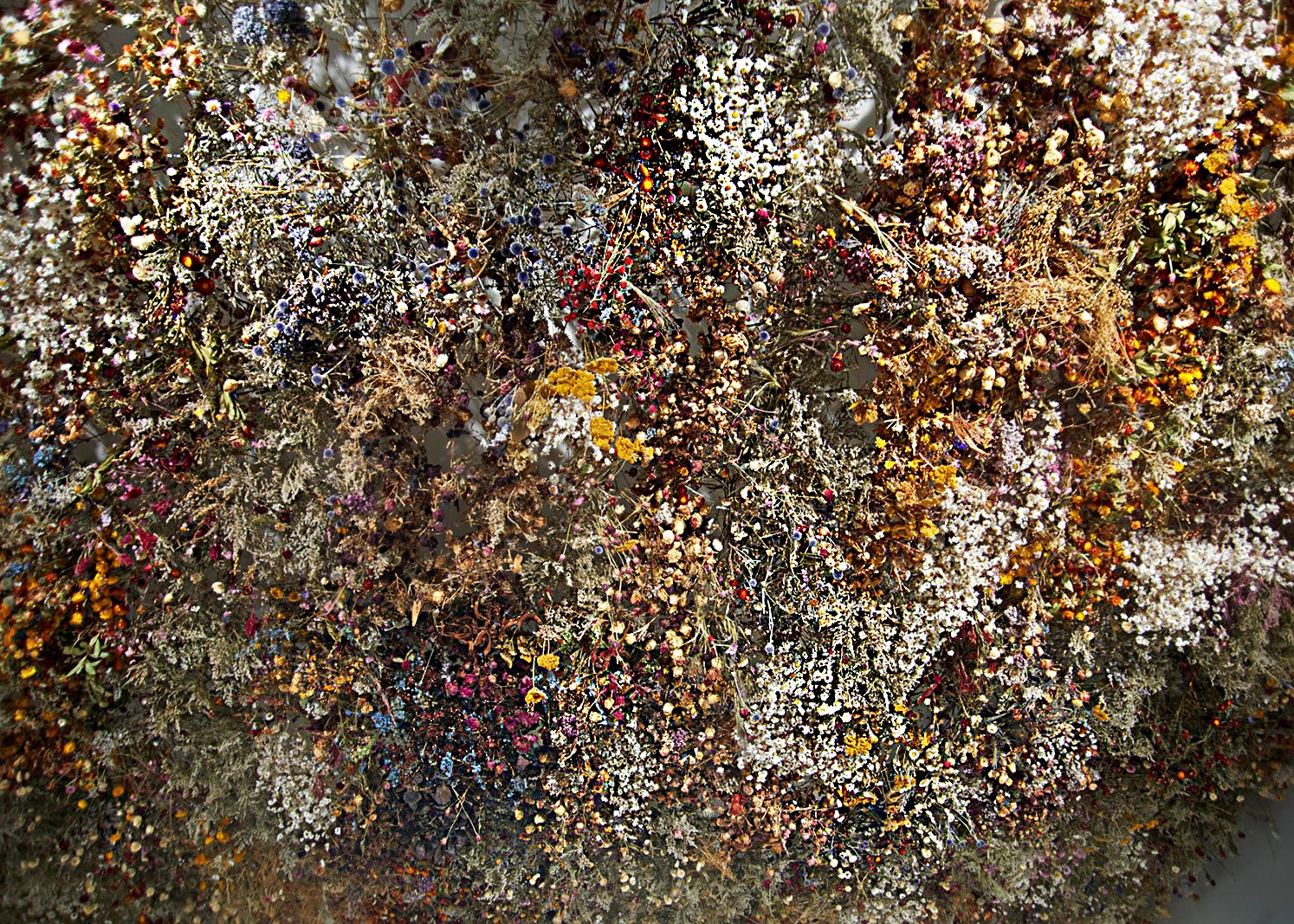 Hovmod i frit fald</br>Rebecca Louise Law har tidligere arbejdet med blomster i maleri, men blev træt af det todimensionelle udtryk og gik i stedet til kilden selv.</br>Foto: PR / foto - Skovgaard Museet