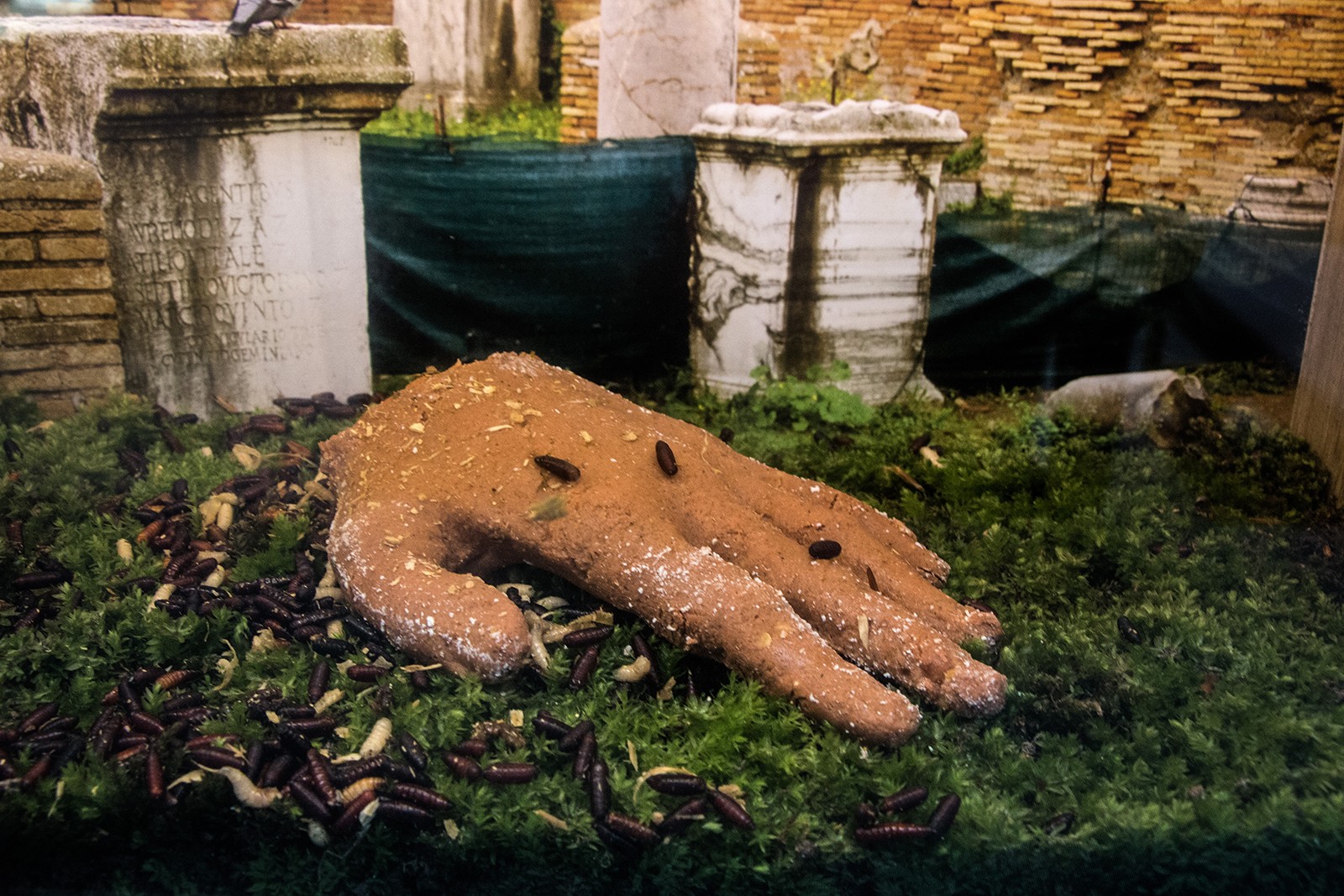 Biologisk og Syntetisk kunst med levende insekter</br>Motor<br />Lending a hand<br />Terrarie med fluer, afstøbning af menneske-hånd i husblas, hundefoder og sukker, stovbund, plastikprint<br />Rethinking MATTER - Biotic Synthetic på Godsbanen</br>Foto: Mariana Gil