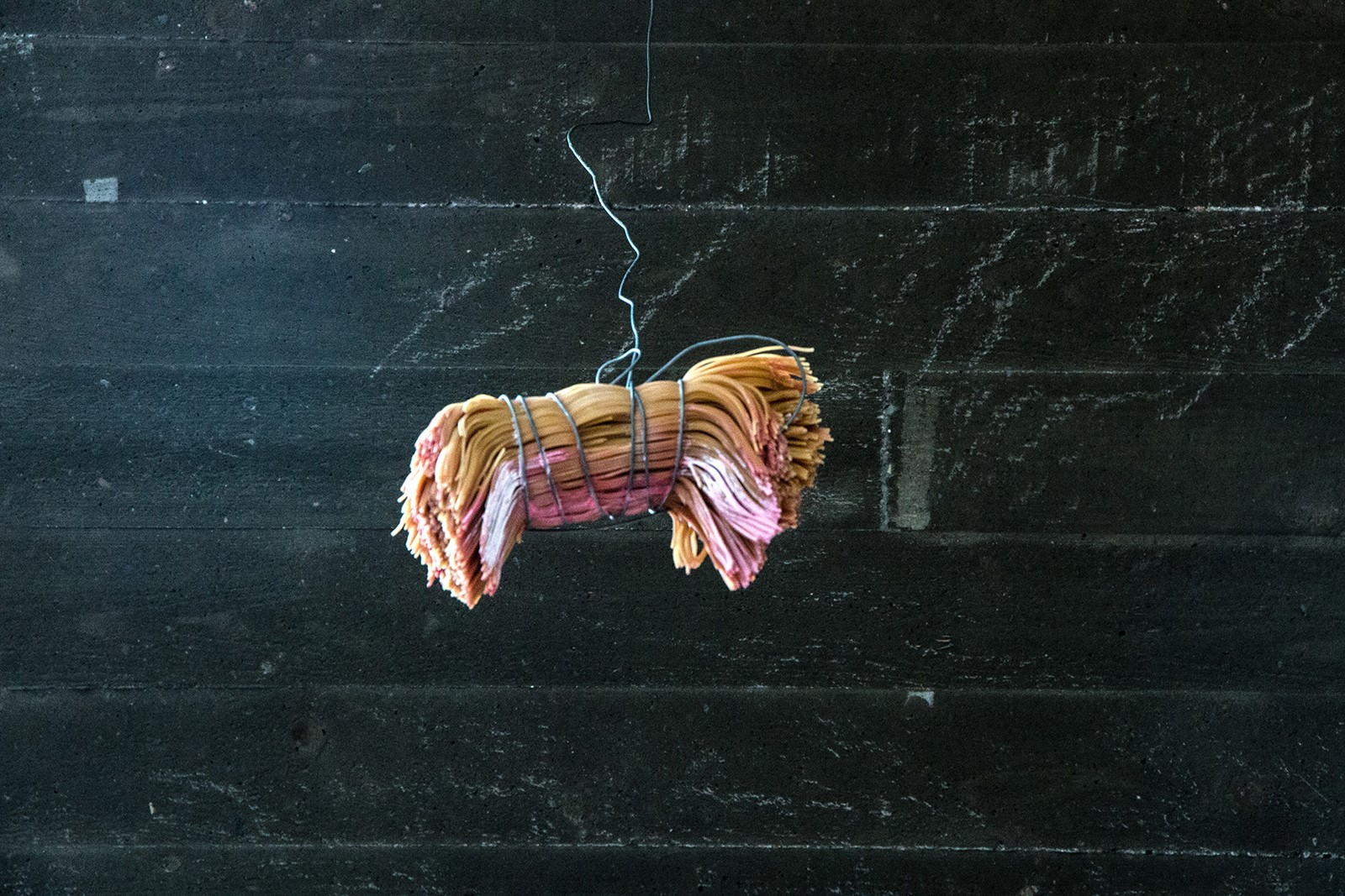 Biologisk og Syntetisk kunst med levende insekter</br>Villiam Miklos Andersen: Komposition af gipskube, mugmalen, 3 betonrelieffer, fotografi + et ukogt bundt spaghetti<br />Rethinking MATTER - Biotic Synthetic på Godsbanen</br>Foto: Mariana Gil