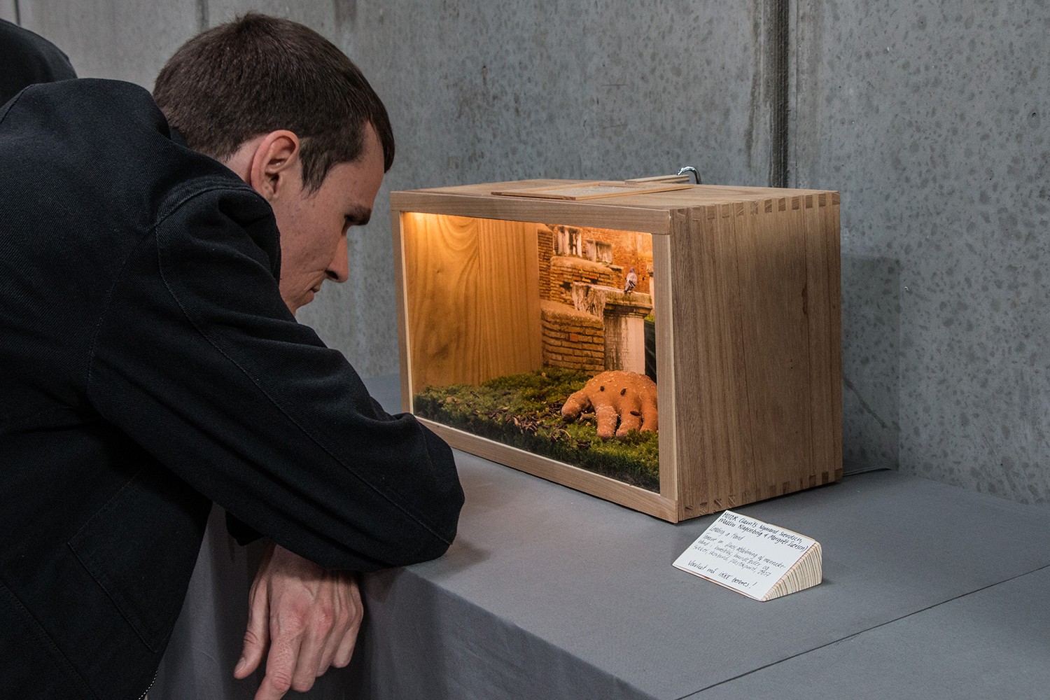 Biologisk og Syntetisk kunst med levende insekter</br>Rethinking MATTER udstillingen Biotic Synthetic på Godsbanen er en undersøgelse af, hvad der sker med biologisk materiale, når man bruger det i en udstilling. </br>Foto: Mariana Gil