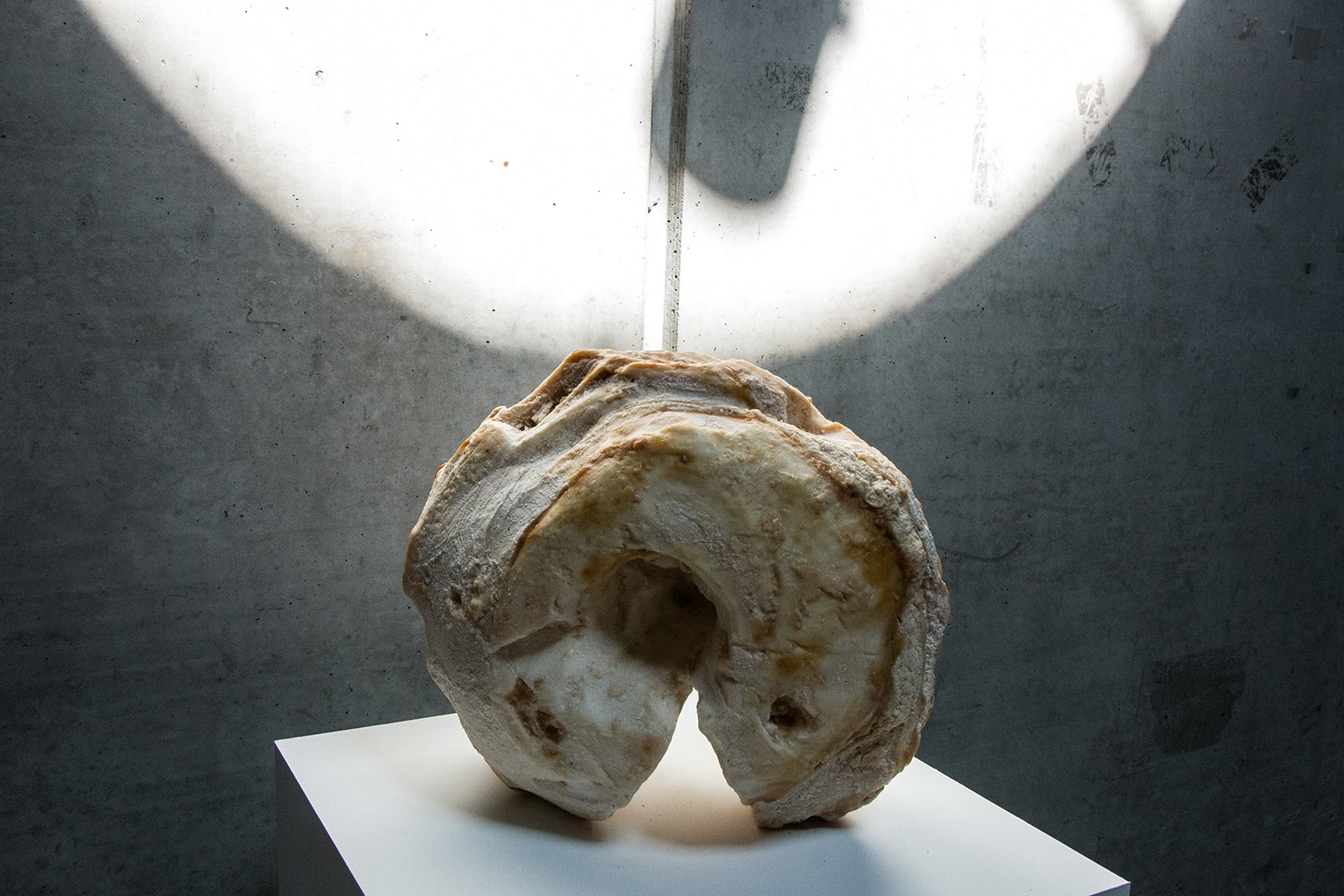 Biologisk og Syntetisk kunst med levende insekter</br>Rethinking MATTER - Biotic Synthetic på Godsbanen</br>Foto: Mariana Gil