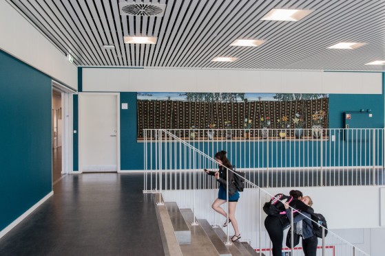HVOR TAGER DU HEN FOR AT OPLEVE KUNST?</br>Jesper Christiansens udsmykning på Marselisborg Gymnasium.</br>Foto: Mariana Gil