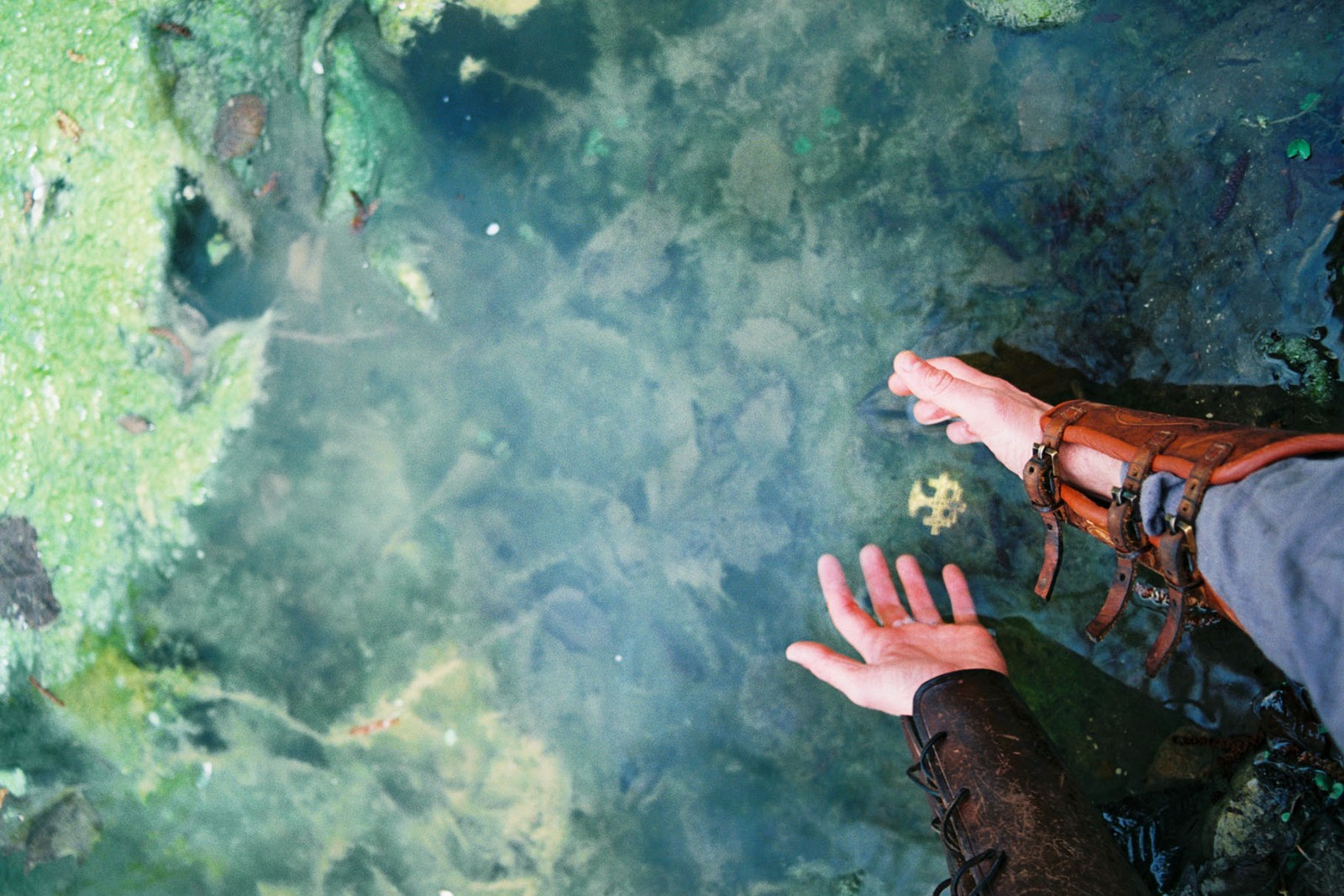 Orms rejse følger slægters gang ad skovstier</br>Der er hemmeligheder gemt i skoven undervejs.</br>Foto: PR-foto / Wunderland - Maja Kristine Christensen