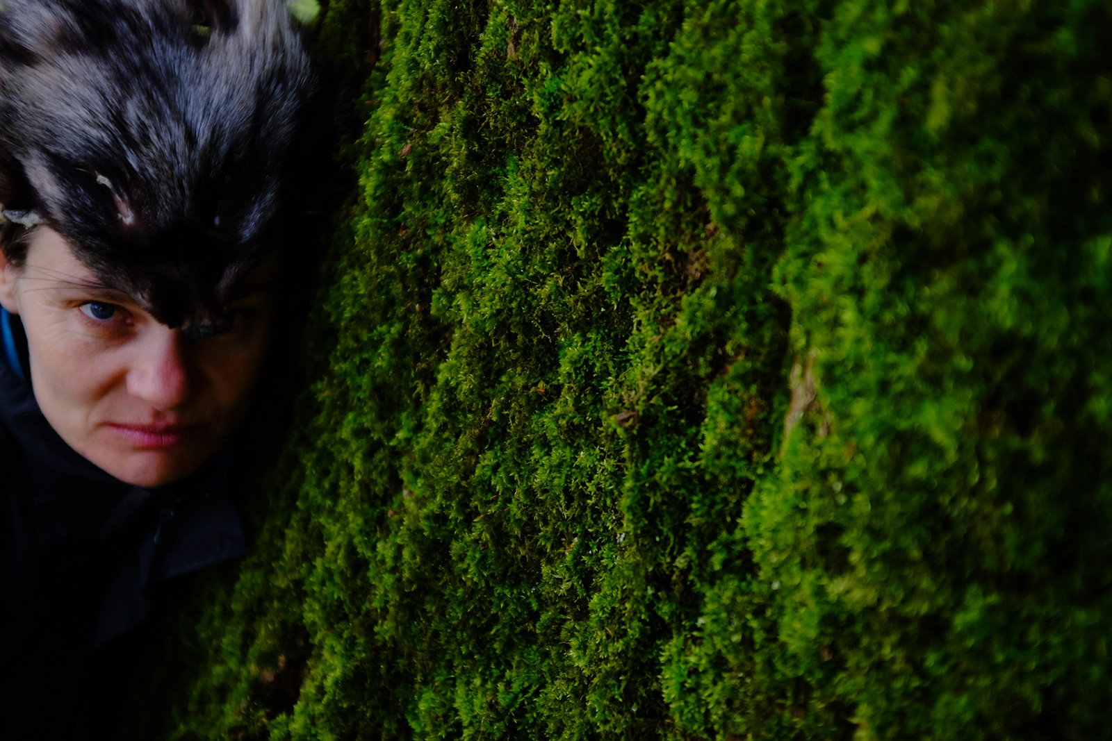 Orms rejse følger slægters gang ad skovstier</br>Undervejs lader vores fører os være alene med forskellige andre i skoven. </br>Foto: PR-foto / Wunderland - Maja Kristine Christensen