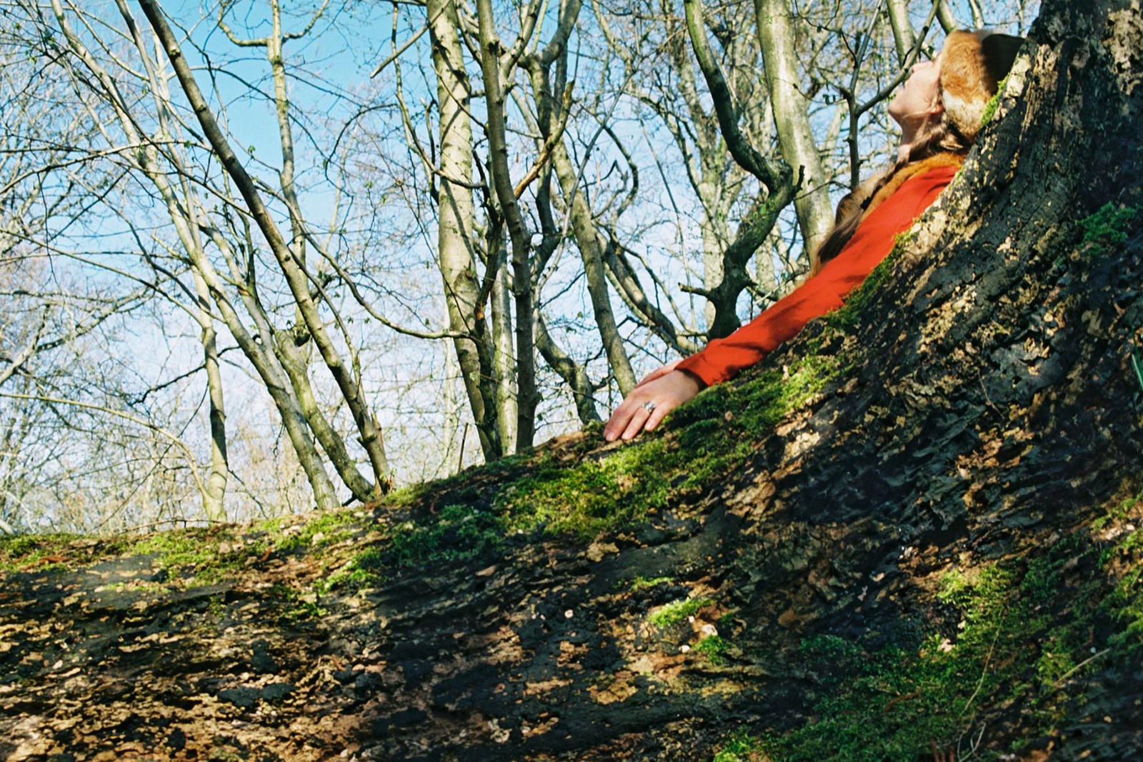 Orms rejse følger slægters gang ad skovstier</br>Man taler ikke undervejs - kun når man bliver spurgt.</br>Foto: PR-foto / Wunderland - Maja Kristine Christensen