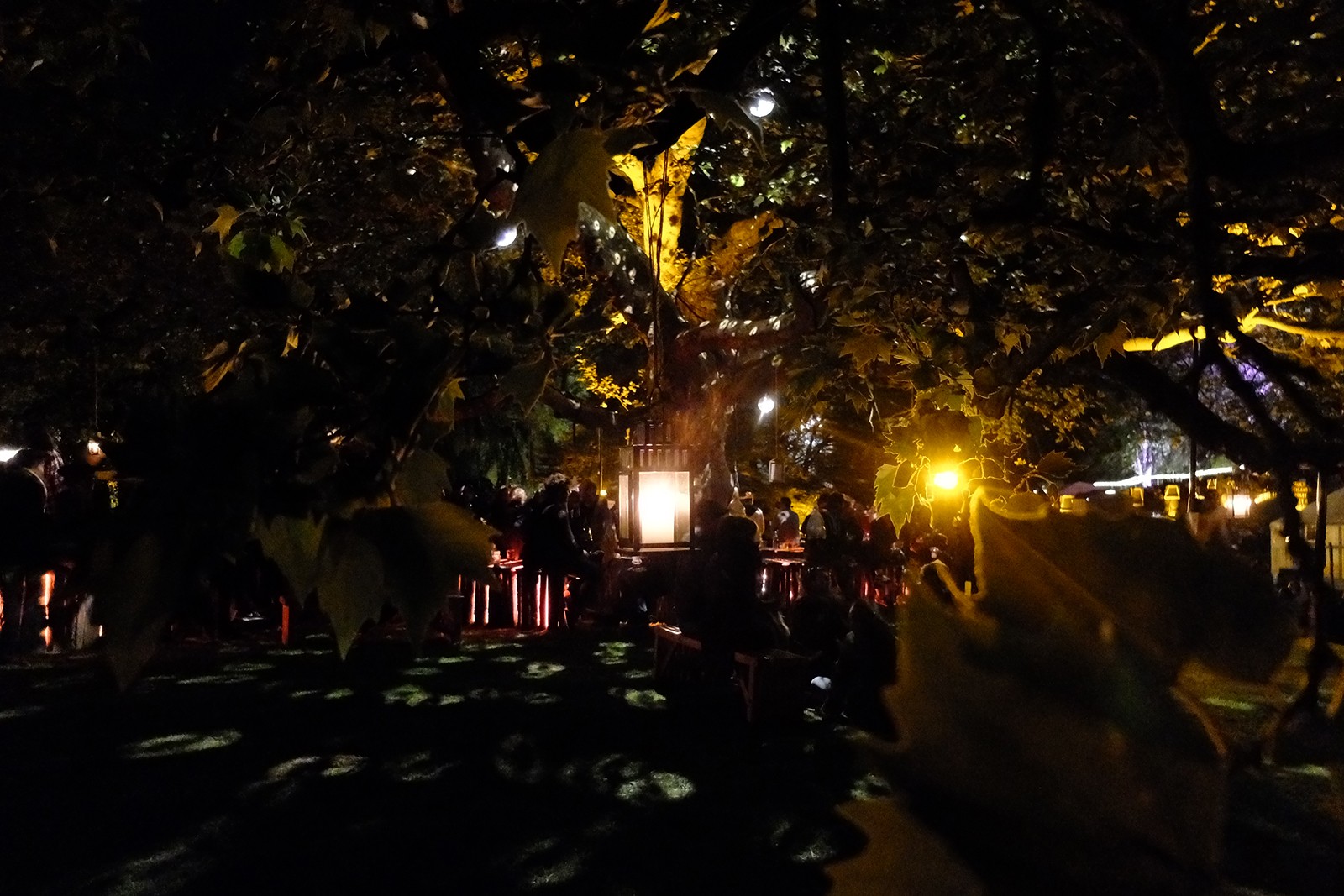 Billedserie fra Heartland 2017</br>Heartland Riverside, B&O Play Tree by night</br>Foto: Pil Lindgreen