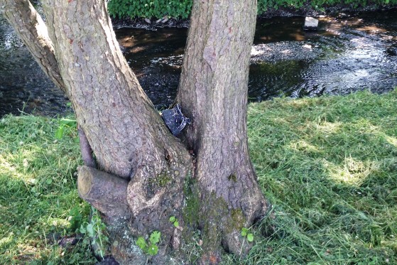 9 landsbyer får kunstnere til byen</br>Otte andre landsbyer får også besøg af kunstnere henover sommeren.</br>Foto: Mai Damgaard Rasmussen (mobilfoto)