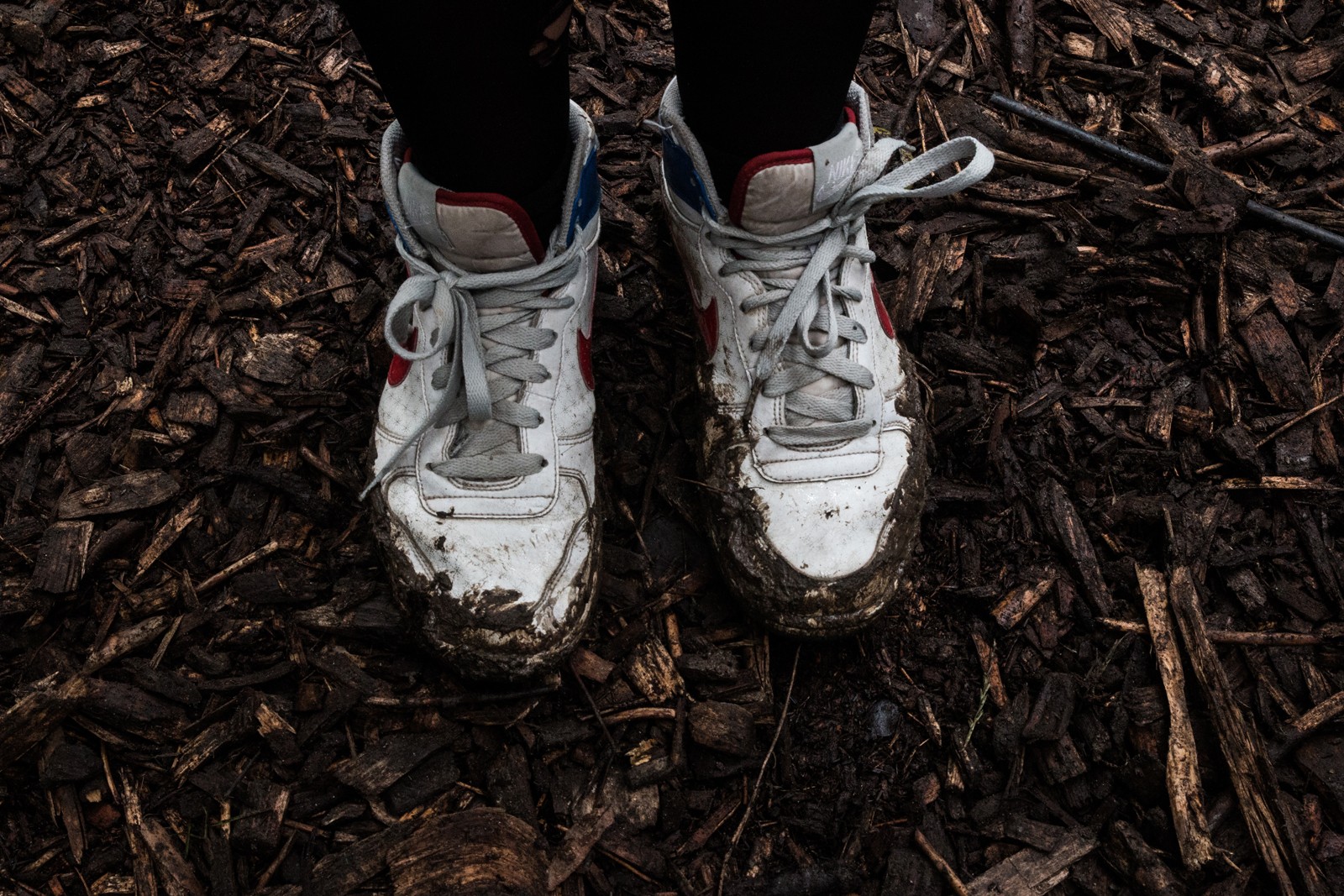 Stemning fra Northside 2017</br>Northside brugte store mængder træflis for holde mudderet ude af skoene. </br>Foto: Mariana Gil