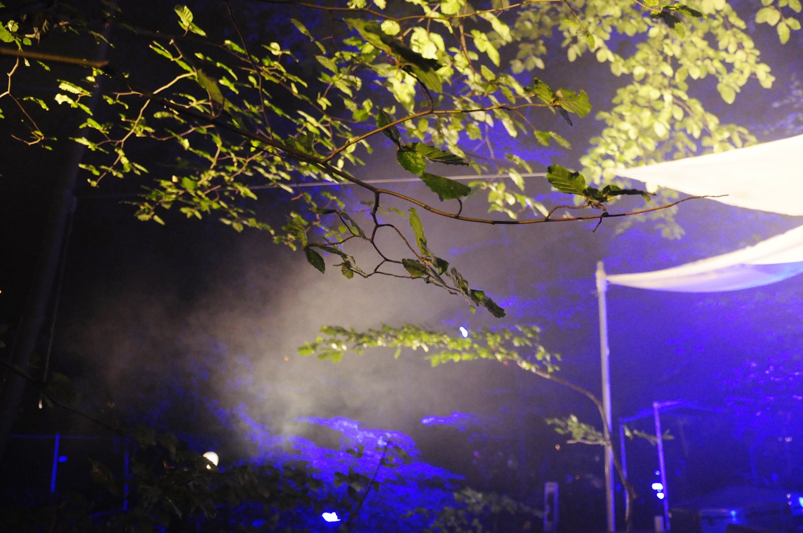 Billedserie: Tree of Souls - koncertinstallation i skoven</br>Tree of Souls forvandlede fredag aften Havreballe Skov i Aarhus til en eventyrlig koncertinstallation med Eivør, Malmø og Who Killed Bambi.</br>Foto: Kulturmagasinet Fine Spind