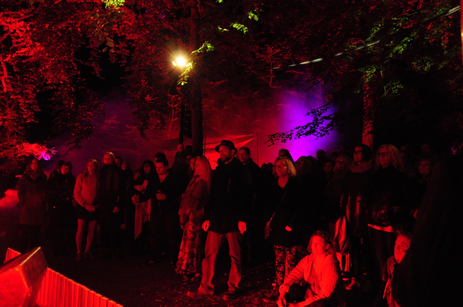 Billedserie: Tree of Souls - koncertinstallation i skoven</br>Tree of Souls forvandlede fredag aften Havreballe Skov i Aarhus til en eventyrlig koncertinstallation med Eivør, Malmø og Who Killed Bambi.  </br>Foto: Kulturmagasinet Fine Spind