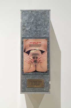 Orlan bruger sin egen krop som medie i en politisk og feministisk kamp</br>Thomas Bruun 1988. Consumers Guide to Safe Sex<br /></br>Foto: ARoS