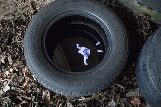 Billedserie: Videokunst i Skulpturlandsby Selde</br>Videoinstallation af Jette Ellgaard</br>Foto: Barbara Katzin