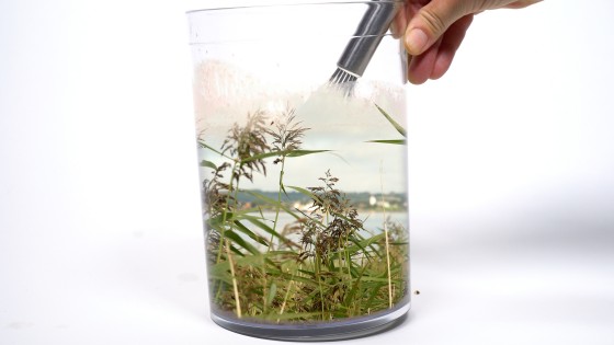 Billedserie: Videokunst i Skulpturlandsby Selde</br>Videoværk af Sonja Lillebæk Christensen: Forener / Adskiller, videostill</br>Foto: Barbara Katzin