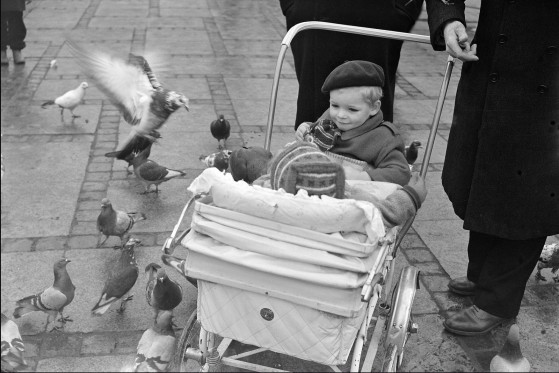 Børnenes by gennem 100 år</br>Der var også duer på Rådhuspladsen i marts 1951.</br>Foto: Pr-foto / Københavns Museum