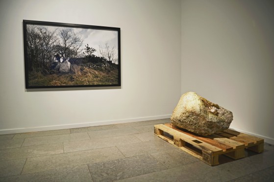 Udstillingsstedet Sydhavn Station fører skinnerne til Kunsthal NORD</br>Heidi Hove: Baghave Monument II, 2013. Digital c-print, kampesten på EUR-palle og messingplade. Print 100 x 150 cm, EUR-palle 120 x 80 x 65 cm</br>Foto: PR-foto - Kunsthal NORD