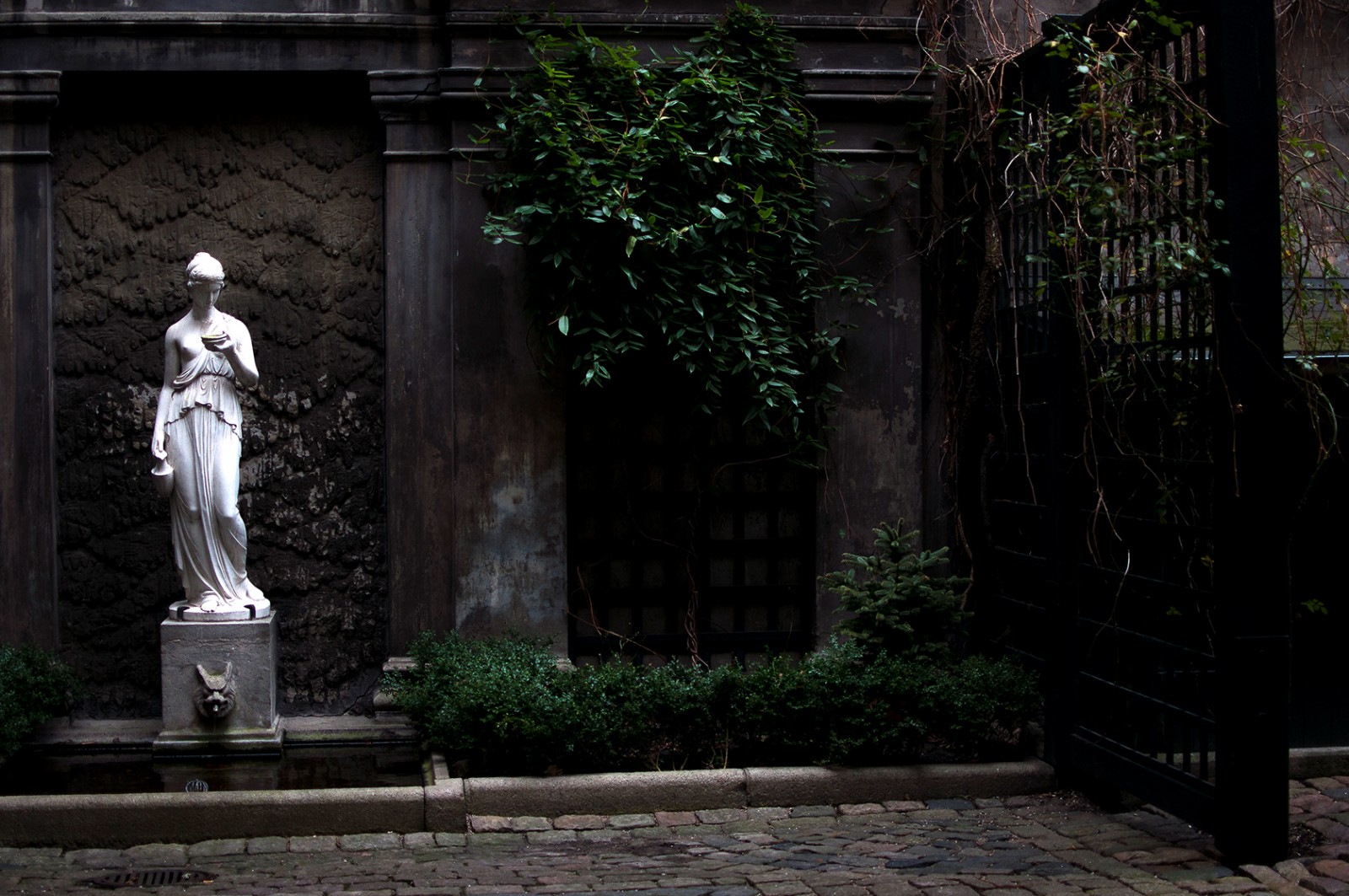 Adi Zukanović: Musikeren der ville noget mere end bare spille musik</br>Adi Zukanović  måtte som barn tage afsked med sine bedsteforældre og sin far, da han flygtede fra Sarajevo.</br>Foto: Rikke Sabrina Jensen 