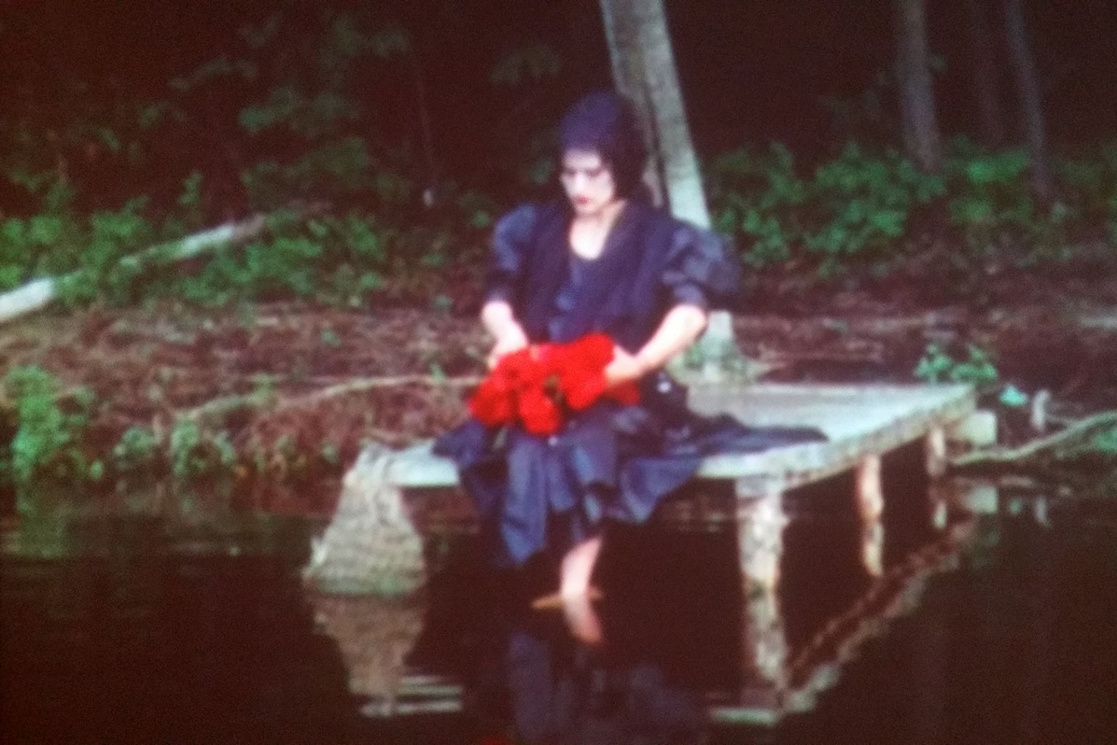 Ursula Reuter Christiansen: Kvinden, der lod sig ofre</br>Valmuerne, der har en fremtrædende rolle i Skarpretteren, er en klar reference til Første Verdenskrig blodbad og en kommentar til det maskuline samfunds voldelige sider. Samtidig er blomsten et symbol på skønhed – og på forgængelighed.</br>Foto: Filmstill