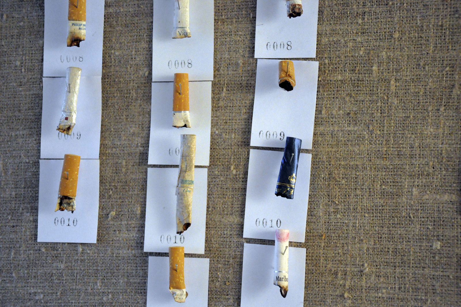 Lasse Krog Møllers museum for oversete ting</br>Cigaretskodder i Lasse Krog Møllers værksted inden de bliver endelig monteret. Kunstneren har i mange år arbejdet med inspiration fra det klassiske museumsarkiv.</br>Foto: Kulturmagasinet Fine Spind